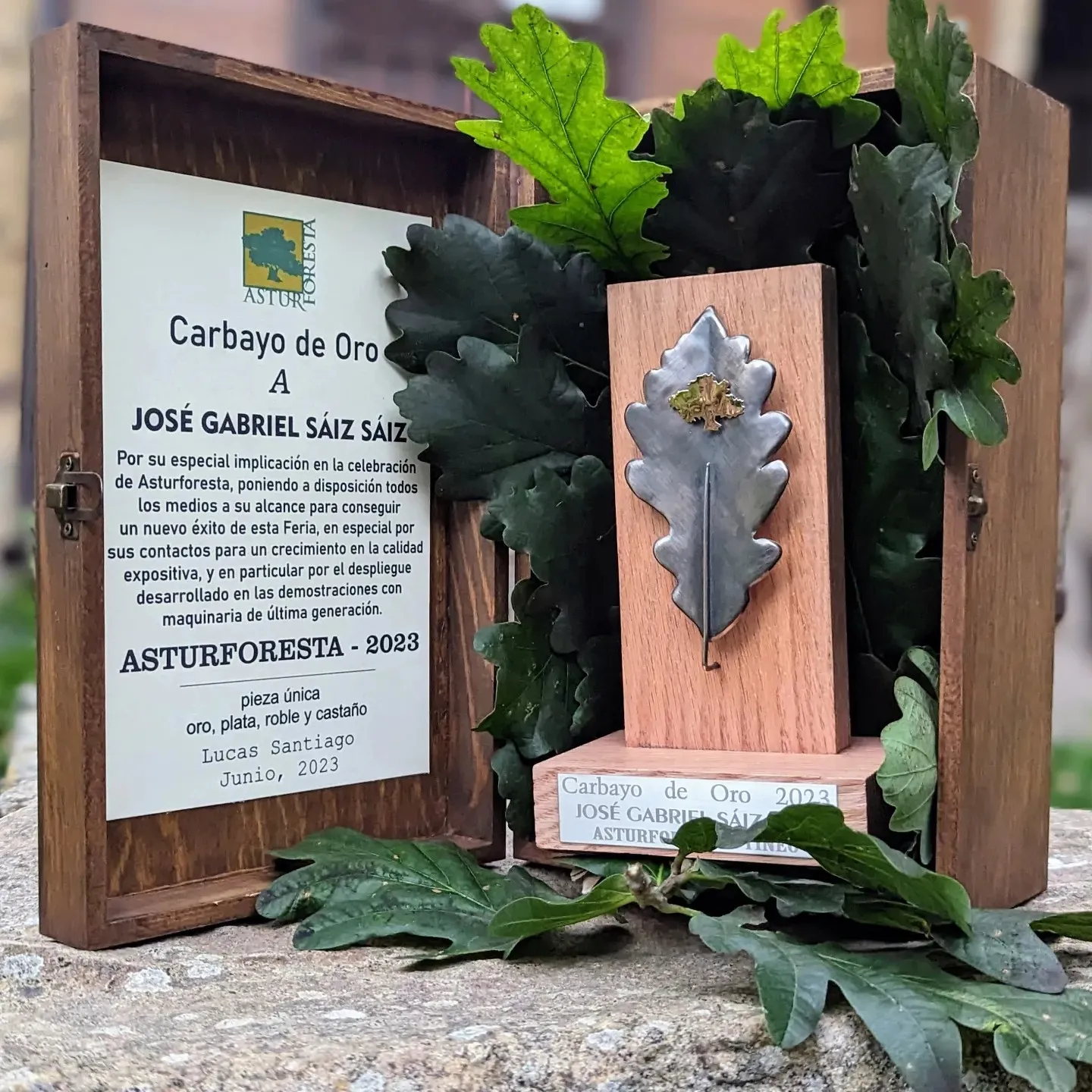 Galardones - Pieza 3